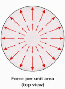 Top view of a disk with outward arrows growing towards the rim, showing force per unit area